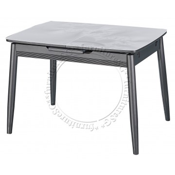 Dining Table DNT1599